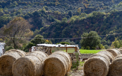 Matera 2019, il Festival “So Far So Close” a San Mauro Forte con l’artista Luigi Coppola