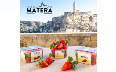 Nuovo marchio nella fragolicoltura lucana di qualità: nasce Fragola Matera®