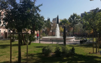 Matera: un ulivo nella villa comunale in memoria di Giovanni Palatucci, ex Questore di Fiume, Medaglia d’oro al valor civile