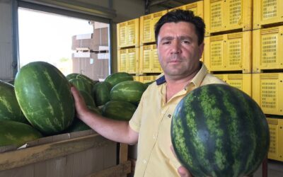Da Metaponto alla Germania: la bella realtà della cooperativa agricola Magna Grecia, un’eccellenza lucana