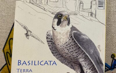 La Basilicata di nuovo su Topolino